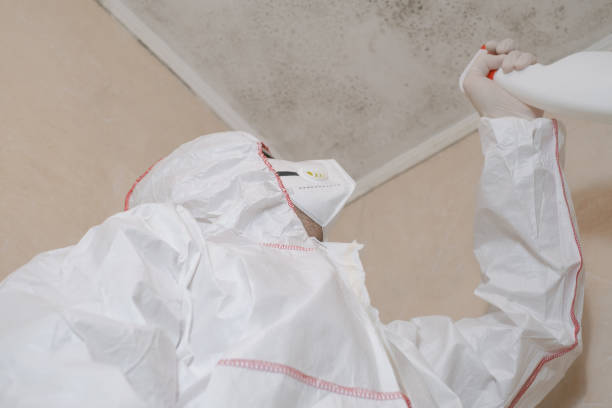 Mold Remediation for Rental Properties